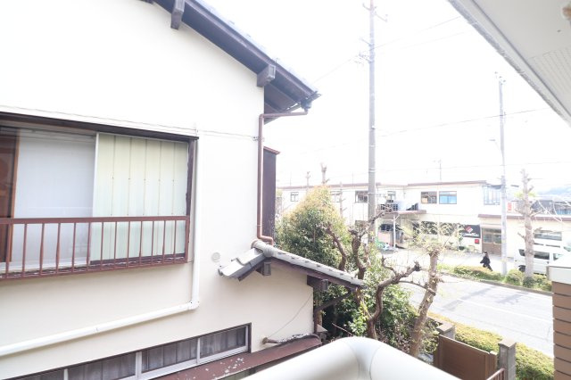 ハイムマンドリンの展望