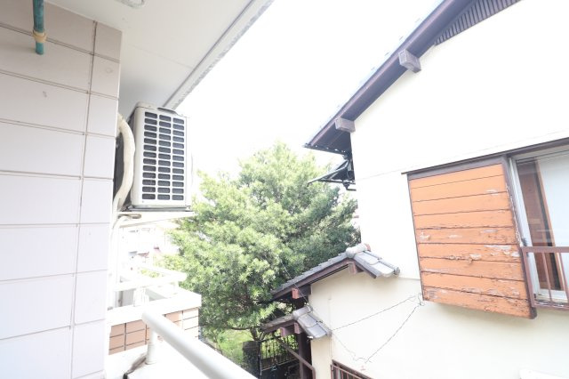 ハイムマンドリンの展望