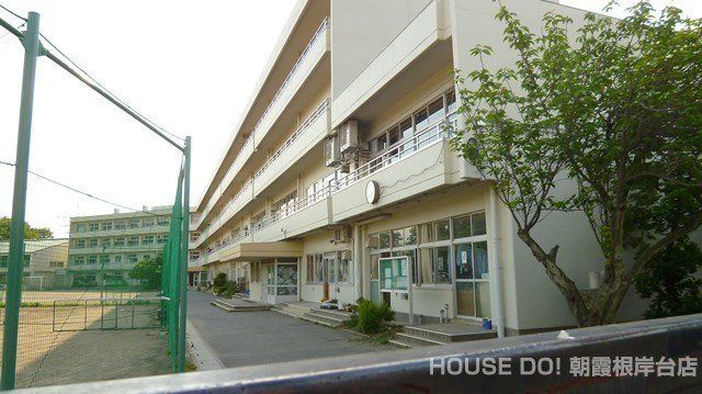 新築戸建　　志木市柏町1丁目　全1棟の周辺|志木市立志木中学校　1100m