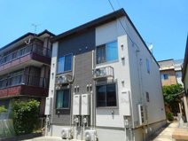 サイプレスの画像