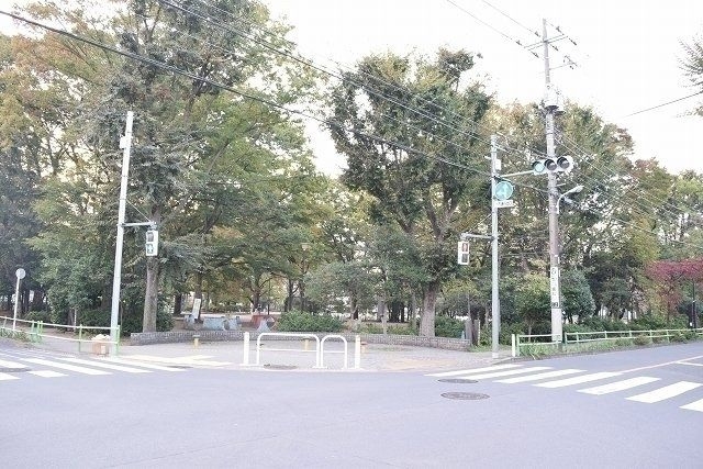 ライオンズヒルズ和光の周辺|成増北第一公園　1160m