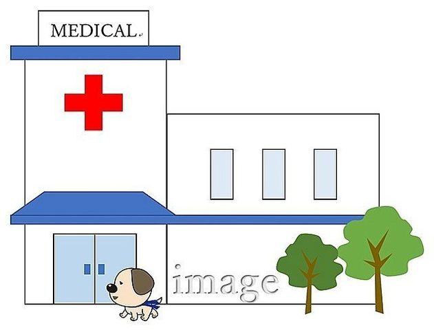 ライオンズヒルズ和光の周辺|慈誠会成増病院　584m