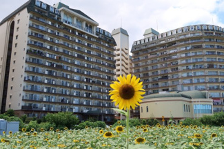 【外観】 | 琵琶湖アーバンリゾートⅡ番館