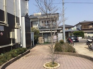 レオパレス美リーフ　Ⅱのその他