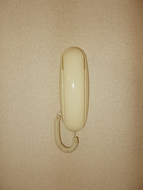 プリマベーラのその他|その他