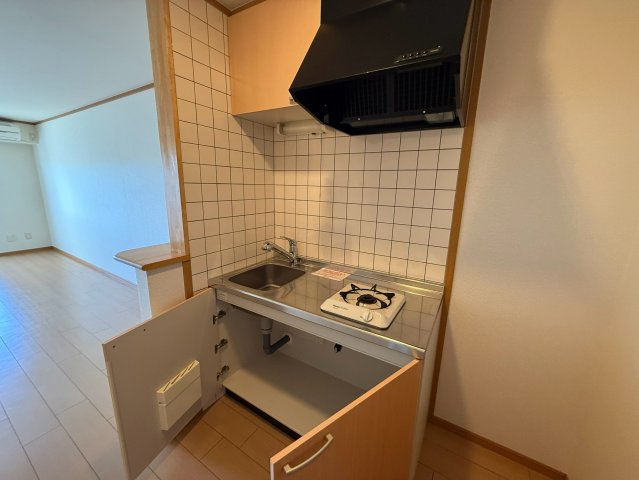 カーサ・ミレニアムのキッチン