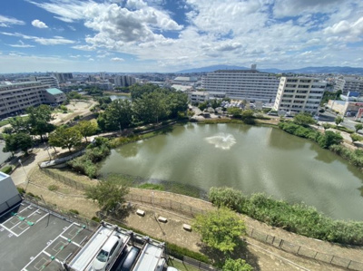 【展望】 | シェーンブルン羽鷹