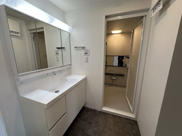 APAガーデンコート鳳西町壱番館の独立洗面台