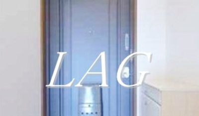 【セキュリティ】 | レジナス椿 | 内鍵です。