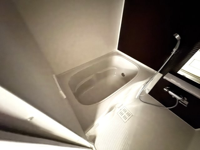 ラヴィグレイスの浴室