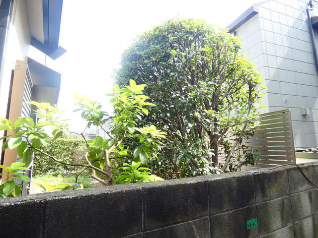 ｃｌｏｃｈｅｔｔｅの展望