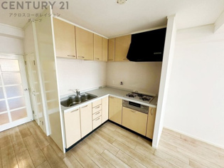 リフォーム済み内覧可能