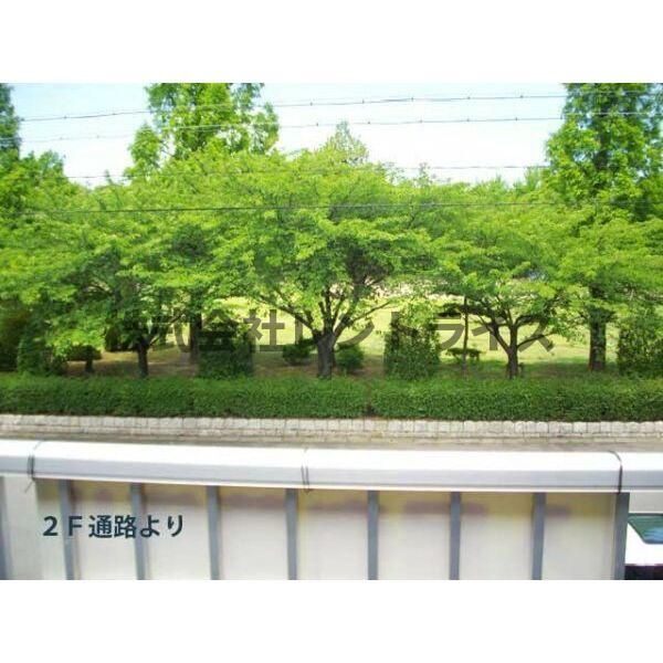 SurplusⅡ　PARK　SIDE　BLUEの展望