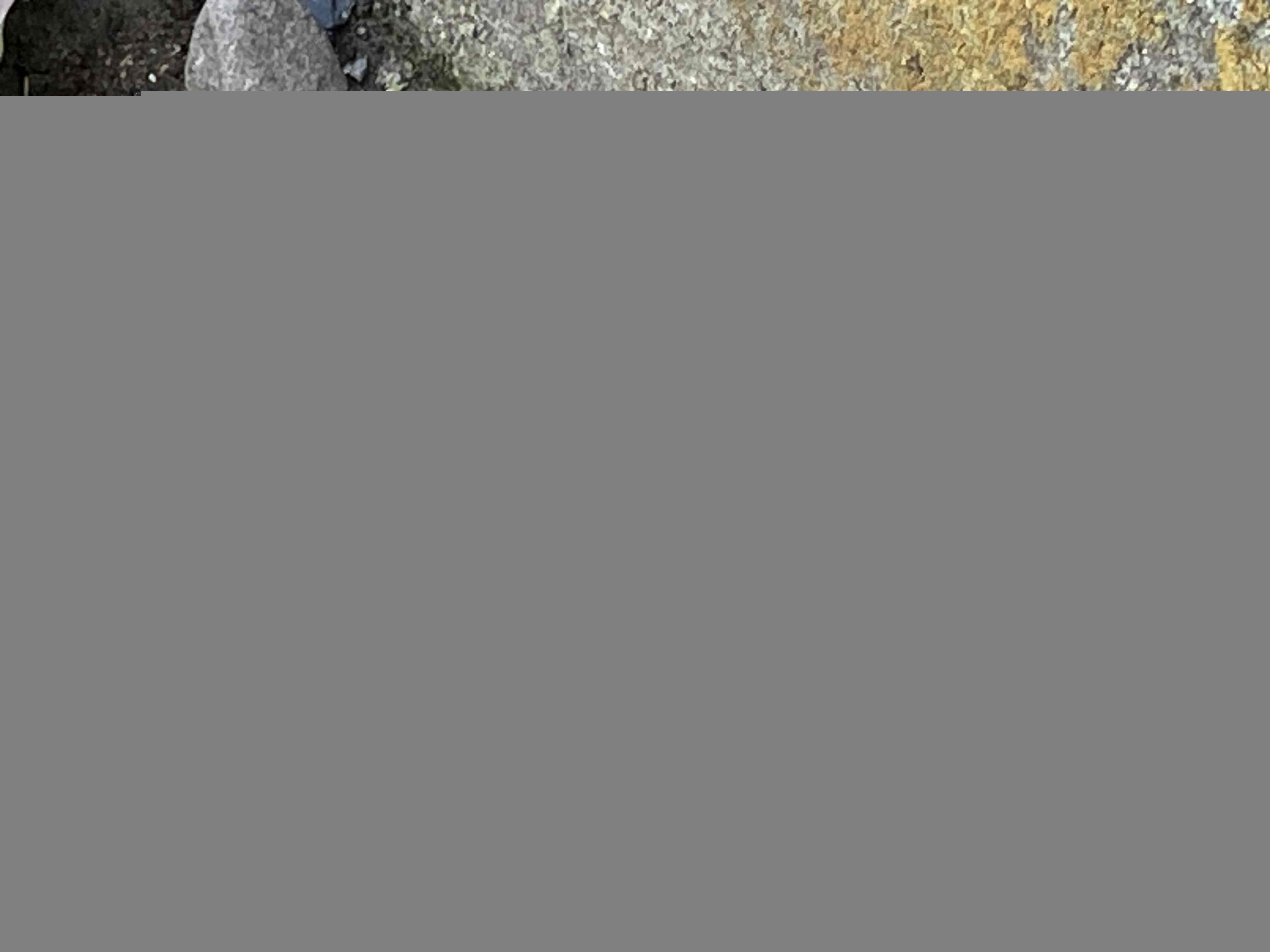 売地　水戸市若宮2丁目