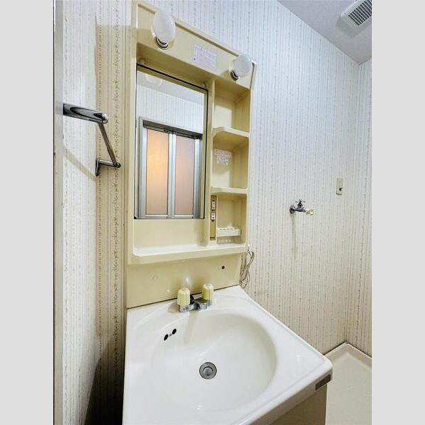 ライフタウンの洗面所