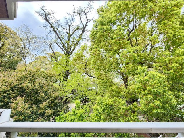 メゾンDoiの展望