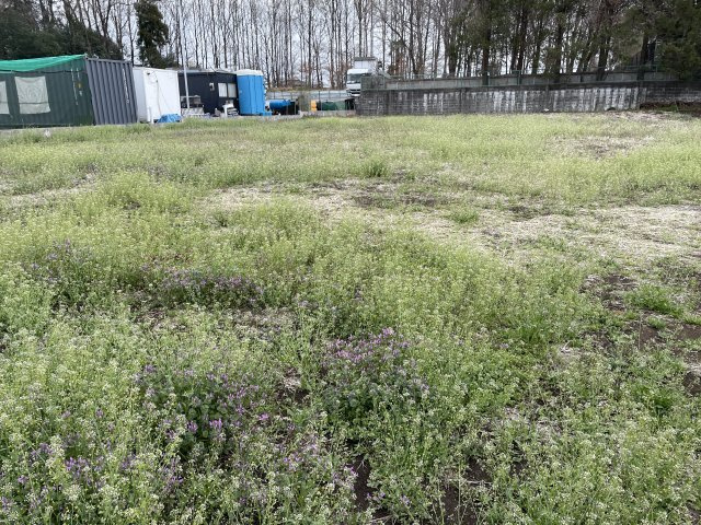 林２丁目売地の外観