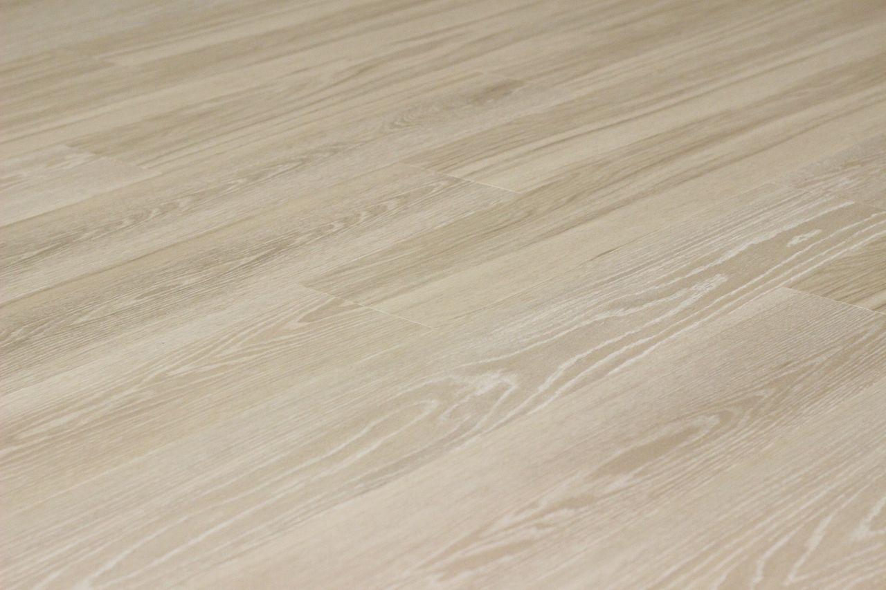 コーポ山崎のその他