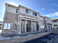 マリポーサの画像