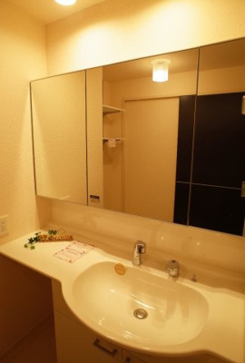 【独立洗面台】 | サニーハイツ大村 | 洗面台