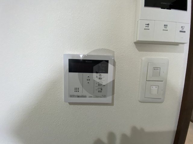 Kaunis Latvaのその他