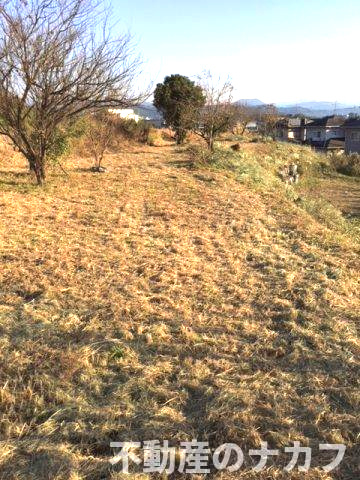 宇城市松橋町曲野の売地の外観