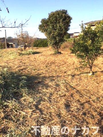 宇城市松橋町曲野の売地の外観