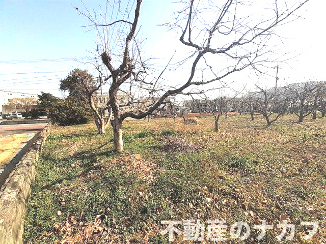 宇城市豊野町糸石の売地