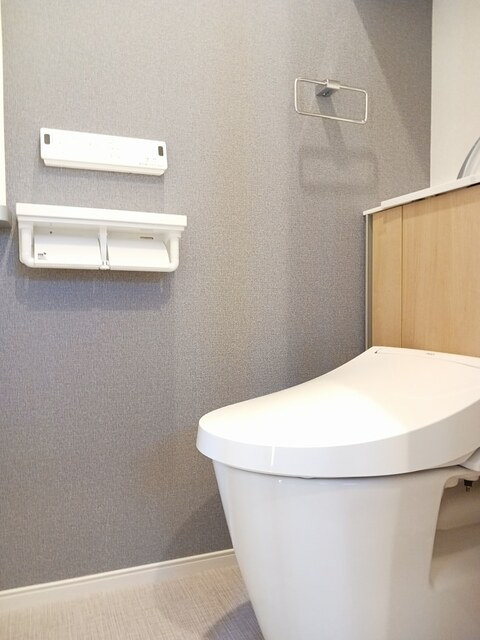 アン・フェリシアのトイレ