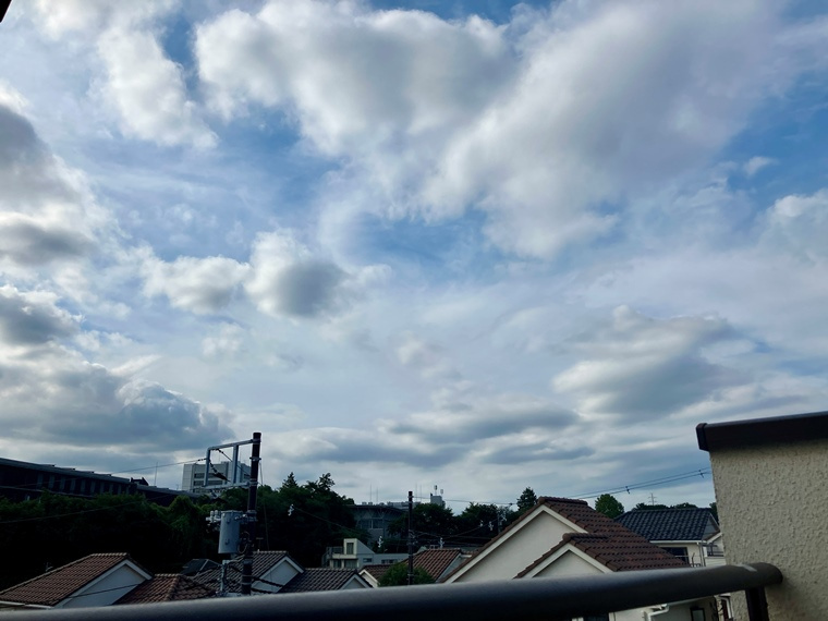 入間町戸建の展望