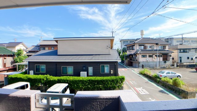 ニューリタンスの展望