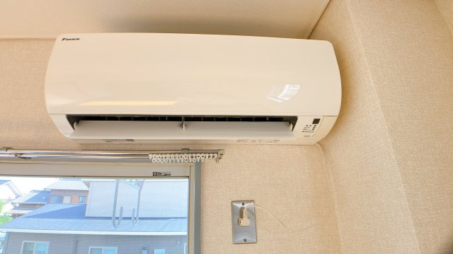 ニューリタンスの設備