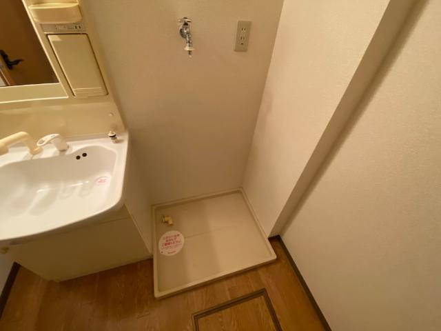 ラルジュ・ミリューの洗面所|洗面