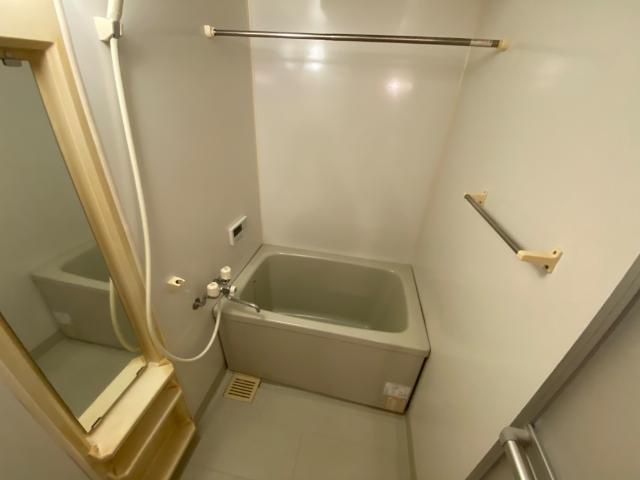 ラルジュ・ミリューの浴室|バス