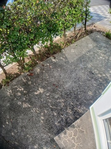 グリーンヒル塚崎の庭