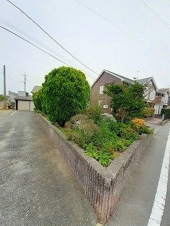 メリーランドハイムのその他