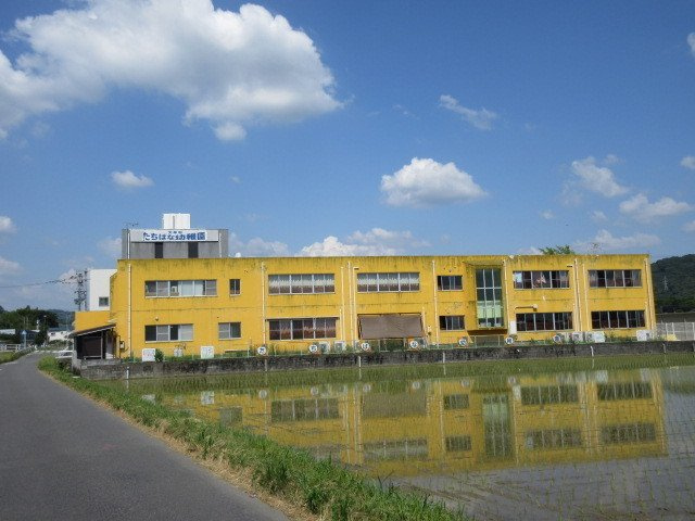 グレイスドリームの周辺|たちばな幼稚園まで770m