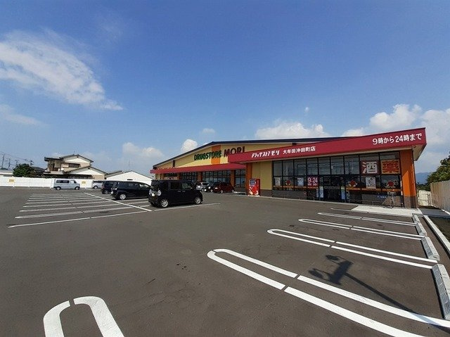 グリーン・ガーデンⅡの周辺|ドラッグストアモリまで1270m