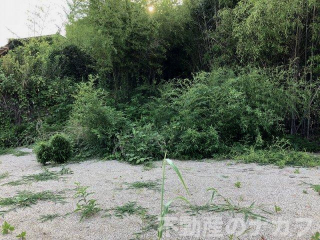 熊本市南区城南町鰐瀬の売地の外観