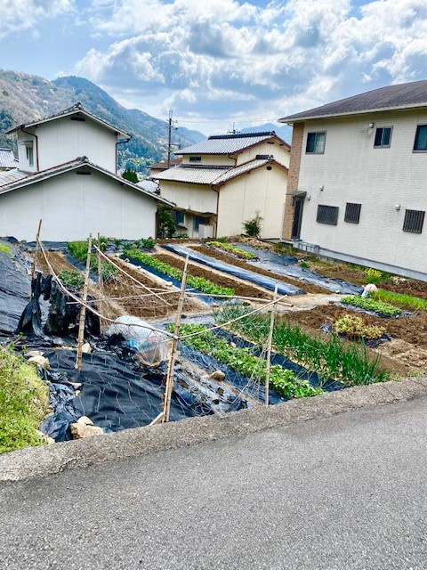 宮置M売地の前面道路含む現地写真