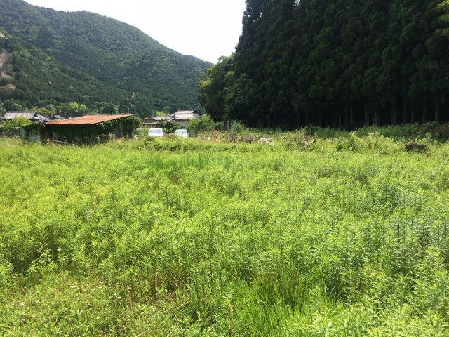 丹波市山南町大河の売地の外観