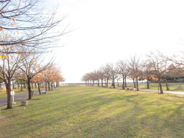 西宮マリナパークシティ海のまち5番館の周辺|近所の公園でペットと散歩を楽しめます。