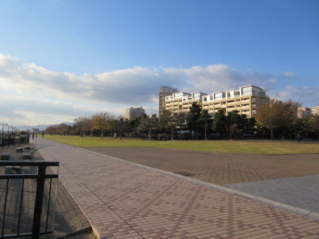 西宮マリナパークシティ海のまち5番館の周辺|浜辺の公園です。