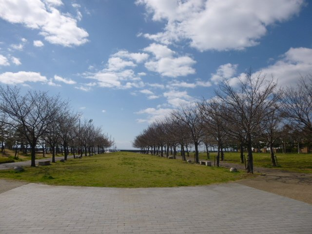 西宮マリナパークシティ海のまち5番館の周辺|エリア内には樹木が沢山あり、春夏秋冬　季節ごとの移り変わりを楽しめます。