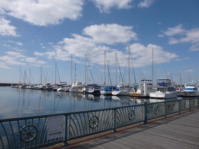 西宮マリナパークシティ海のまち5番館の周辺|夏のヨットハーバー、体験クルージング等も楽しめます。