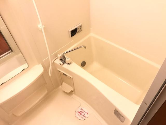 ヒーリングパレスの浴室|バス