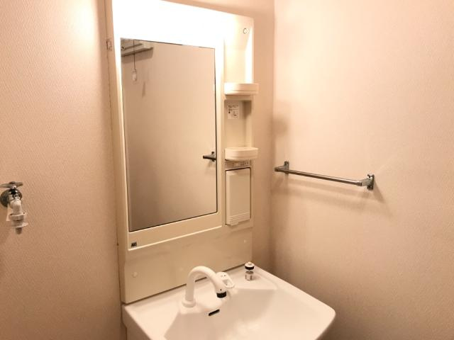 ヒーリングパレスの洗面所|洗髪洗面化粧台