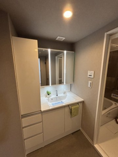 【独立洗面台】藤和南町田ハイタウン 