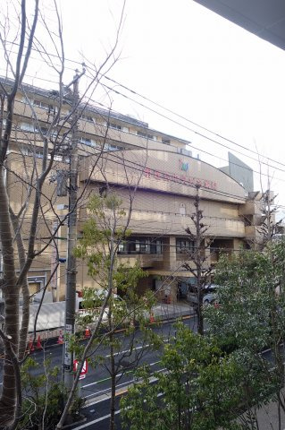 アールジェイアールプレシア東十条ガーデンの展望