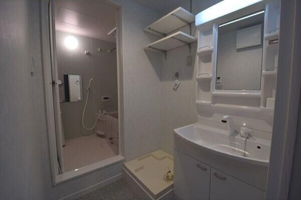 カーサパズエスの洗面所